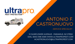 Diseño de Tarjeta de Presentación por audreydiane para este proyecto | Diseño: #23372100