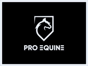 Logo Design by Graphic Bomb