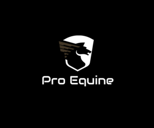 Logo Design by kevinK for this project | Design: #23340769