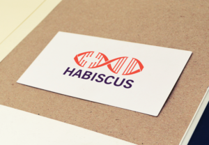 Logo Design by Asif Raza