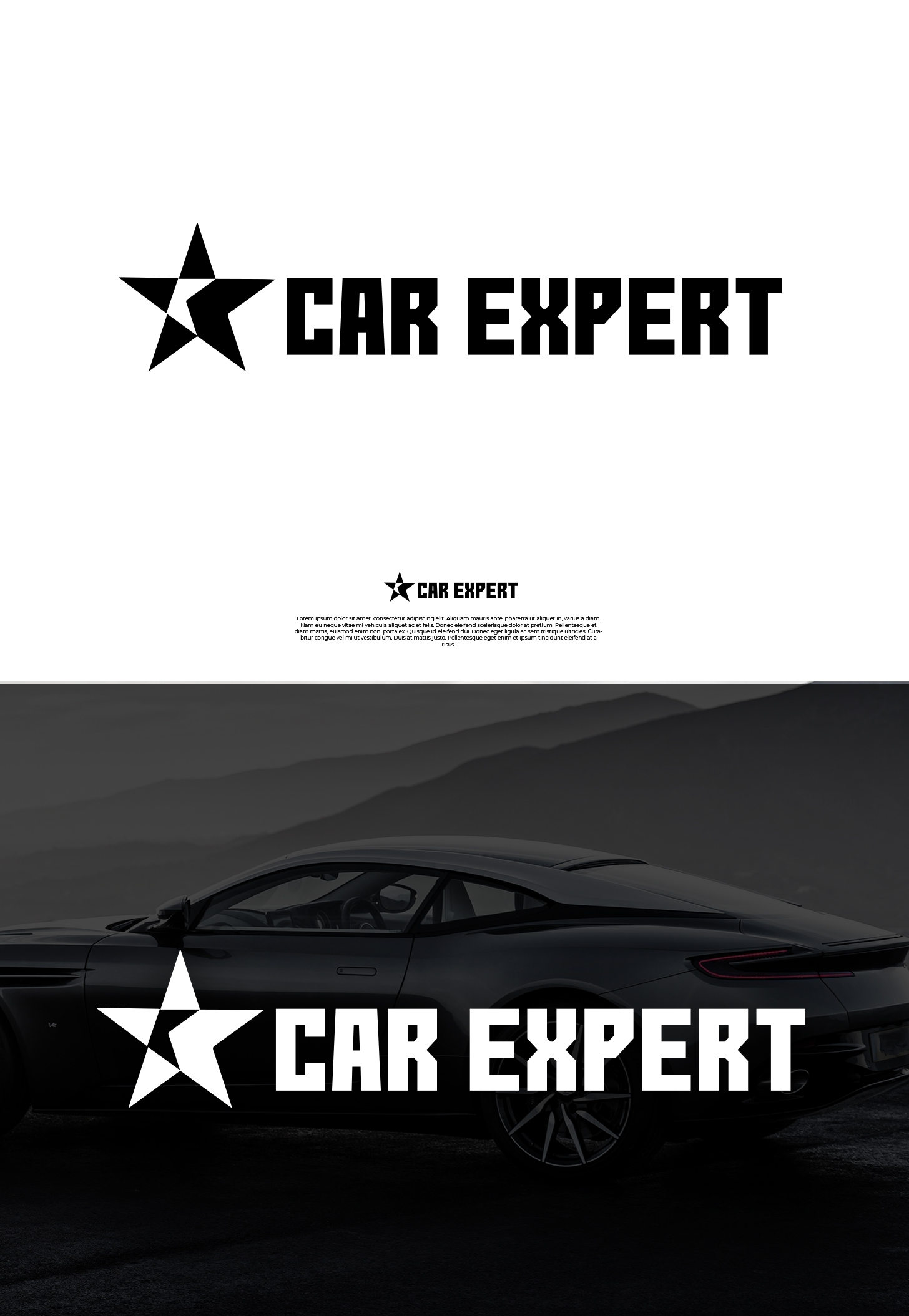 Logo Design by Naveen 28 for Expert Media Pty Ltd | Design #23381422