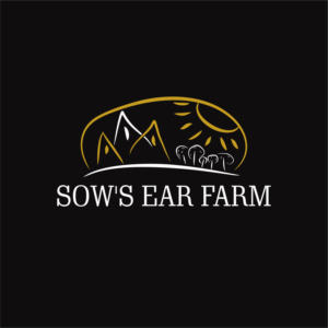 Logo Design by waleed12