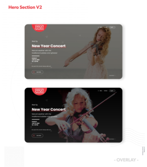 Web Design by Marc Ray for Het Ondersteuningsburo | Design: #23401765