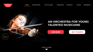 Web Design by Vamshikiran for Het Ondersteuningsburo | Design: #23378937