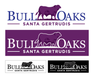 Bull-Oaks Santa Gertrudis | Logo Design by Sergio Coelho