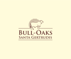 Bull-Oaks Santa Gertrudis | Logo Design by Logocraft