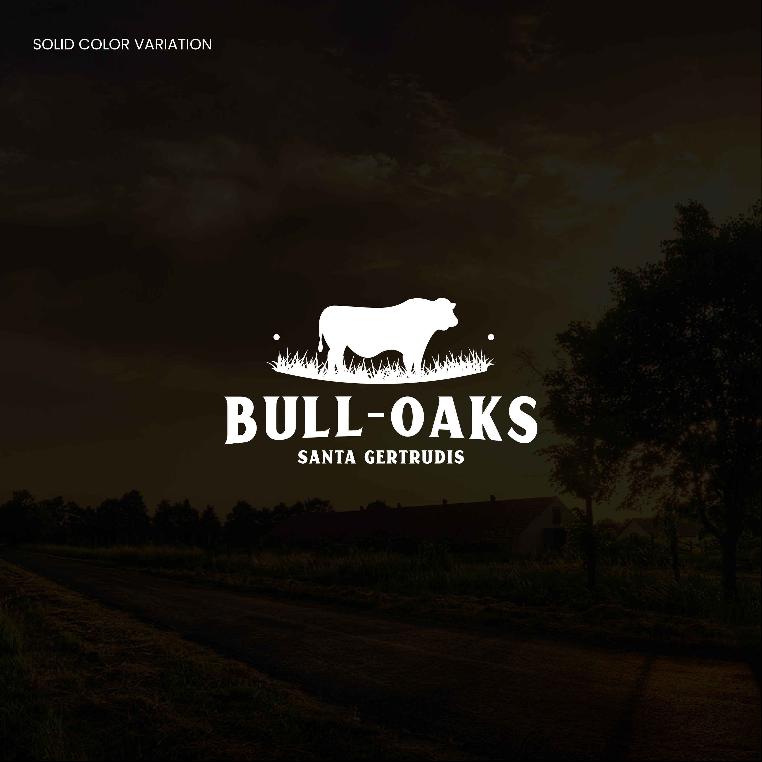 Logo Design by MarkazAlrusumatOfficial for Bull-Oaks | Design #23382600
