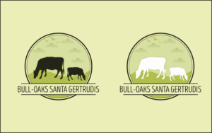 Logo Design by waleed12