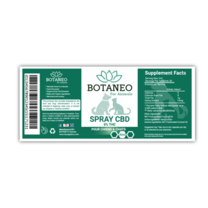Packaging Design by Rupok 3 for this project | Design: #23377857