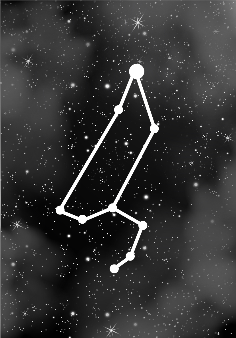 Design de Vêtement par artgroup 48 pour camelia.is | Design #23387049