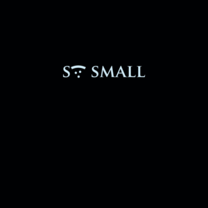 Logo Design by DesignDUO for Peperosso ltd | Design: #23370488