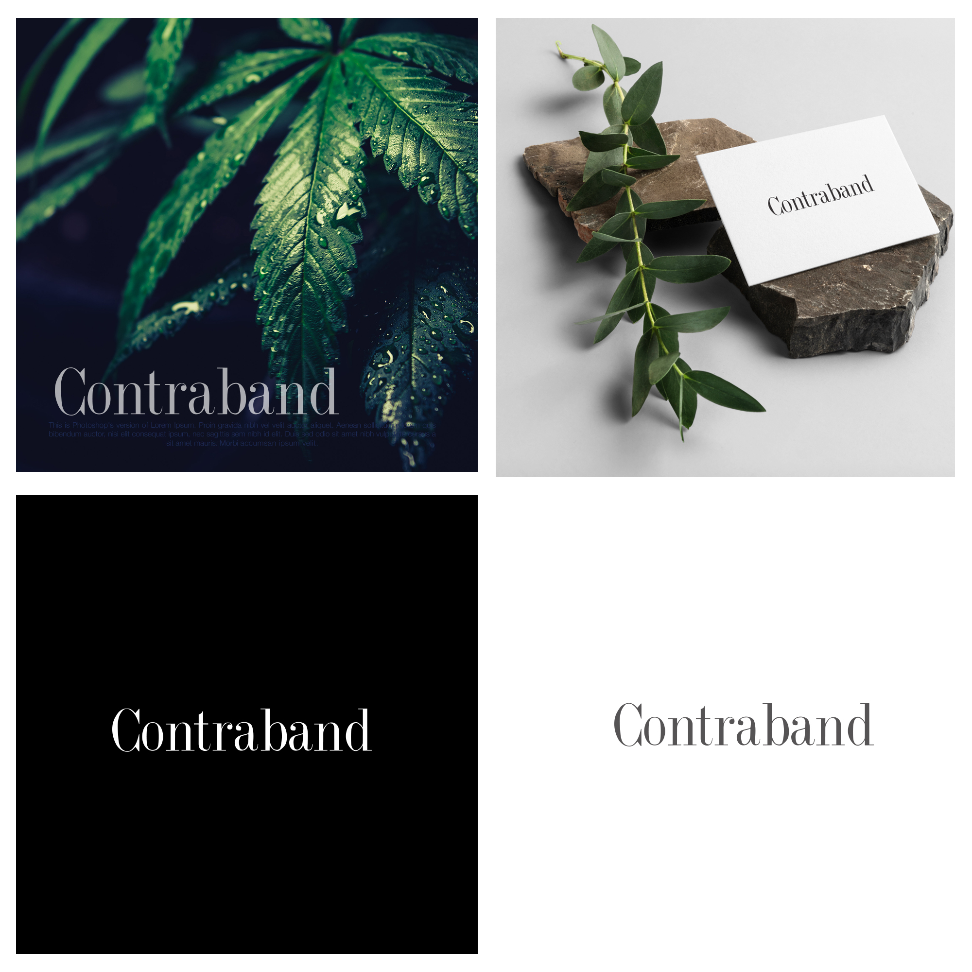 Logo Design by Silvester for this project | Design #24148587