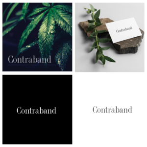 Logo Design by Silvester