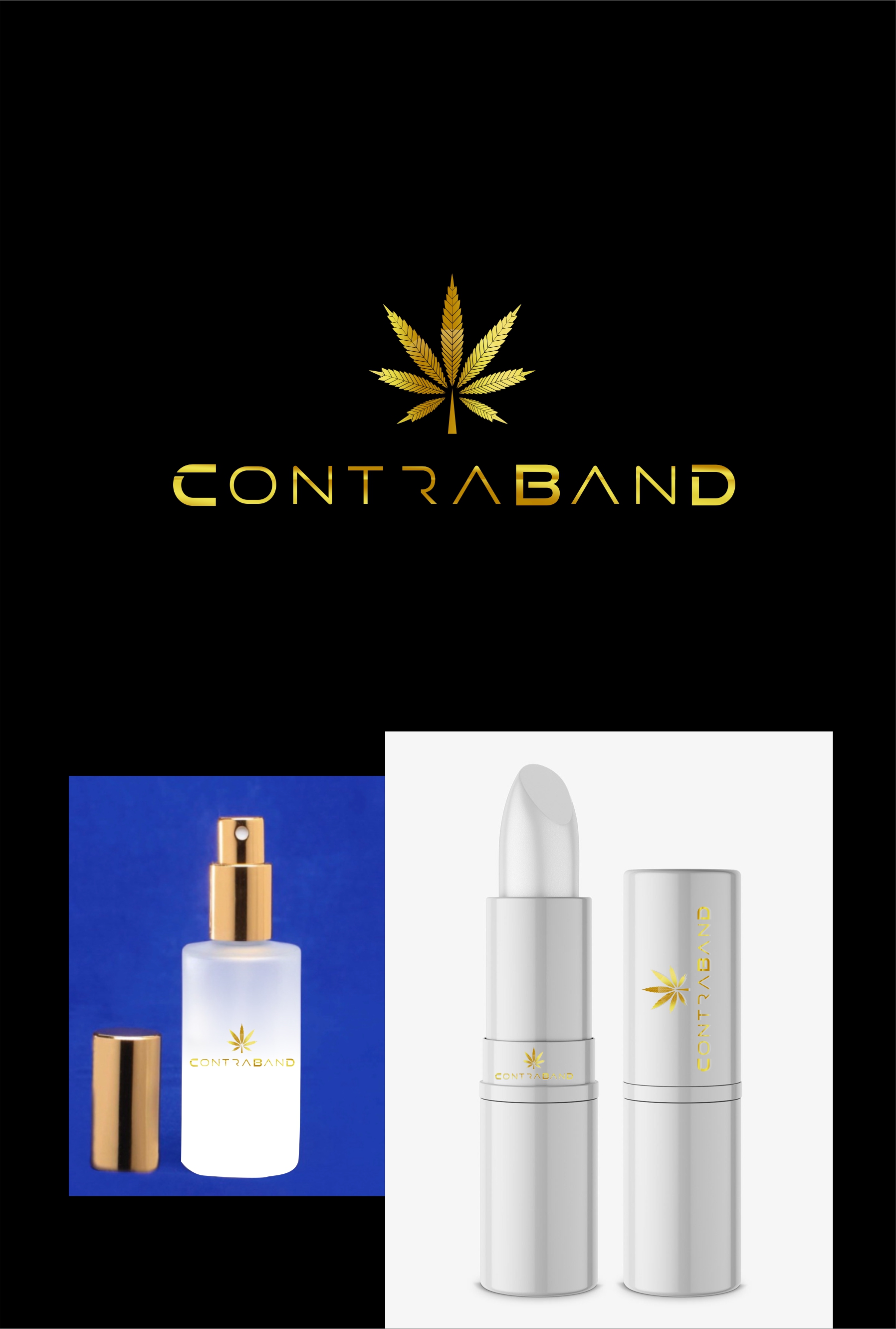 Logo Design by alok bhopatkar for this project | Design #24436075