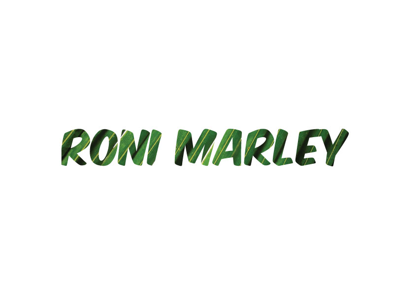 Logo Design by United Three for this project | Design #721559