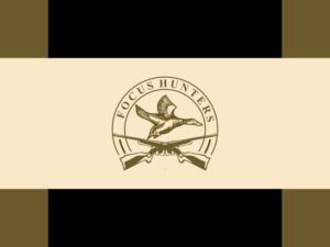 Logo Design by Artbibun