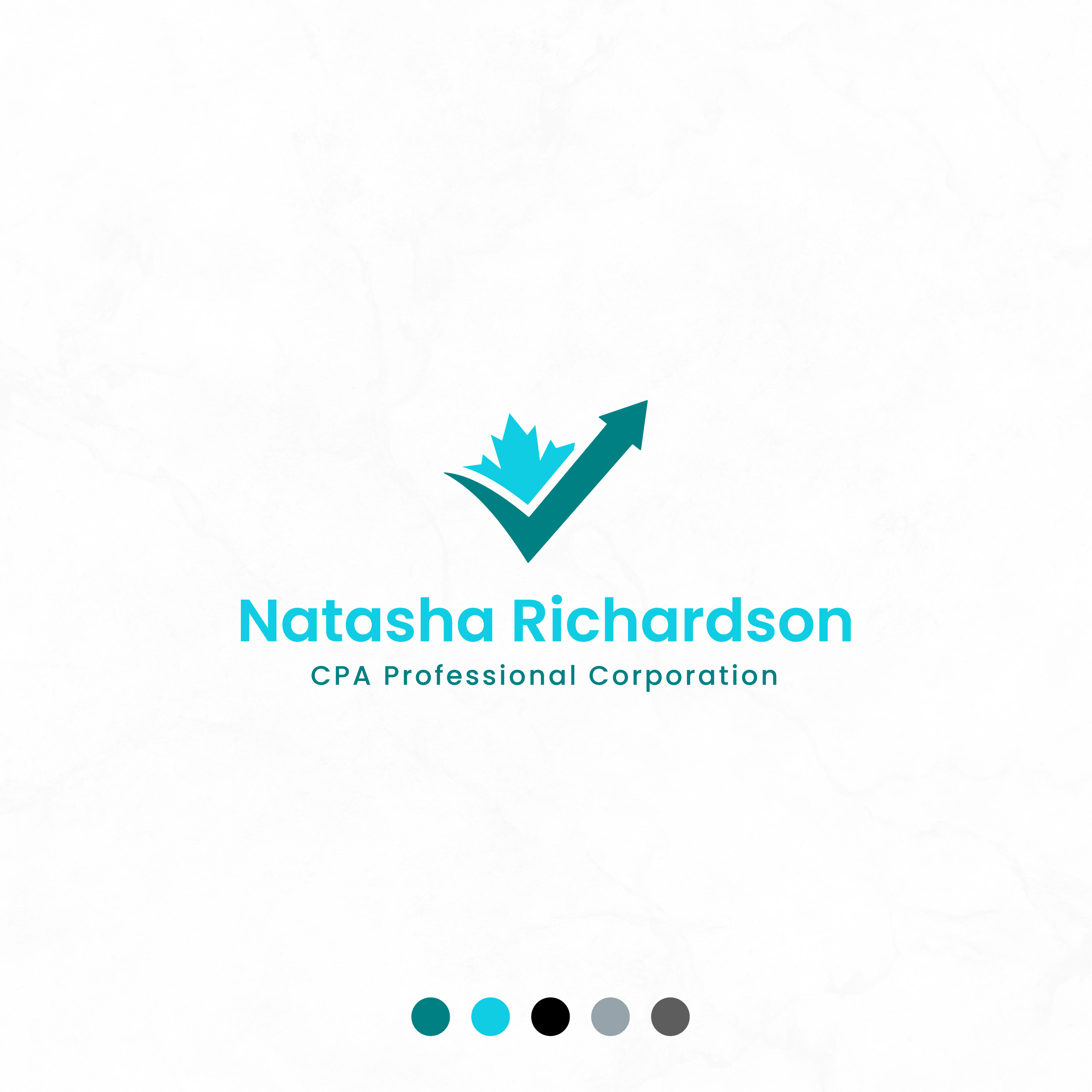 Logo Design by MarkazAlrusumatOfficial for Natasha Richardson CPA Professional Corporation | Design #23406302