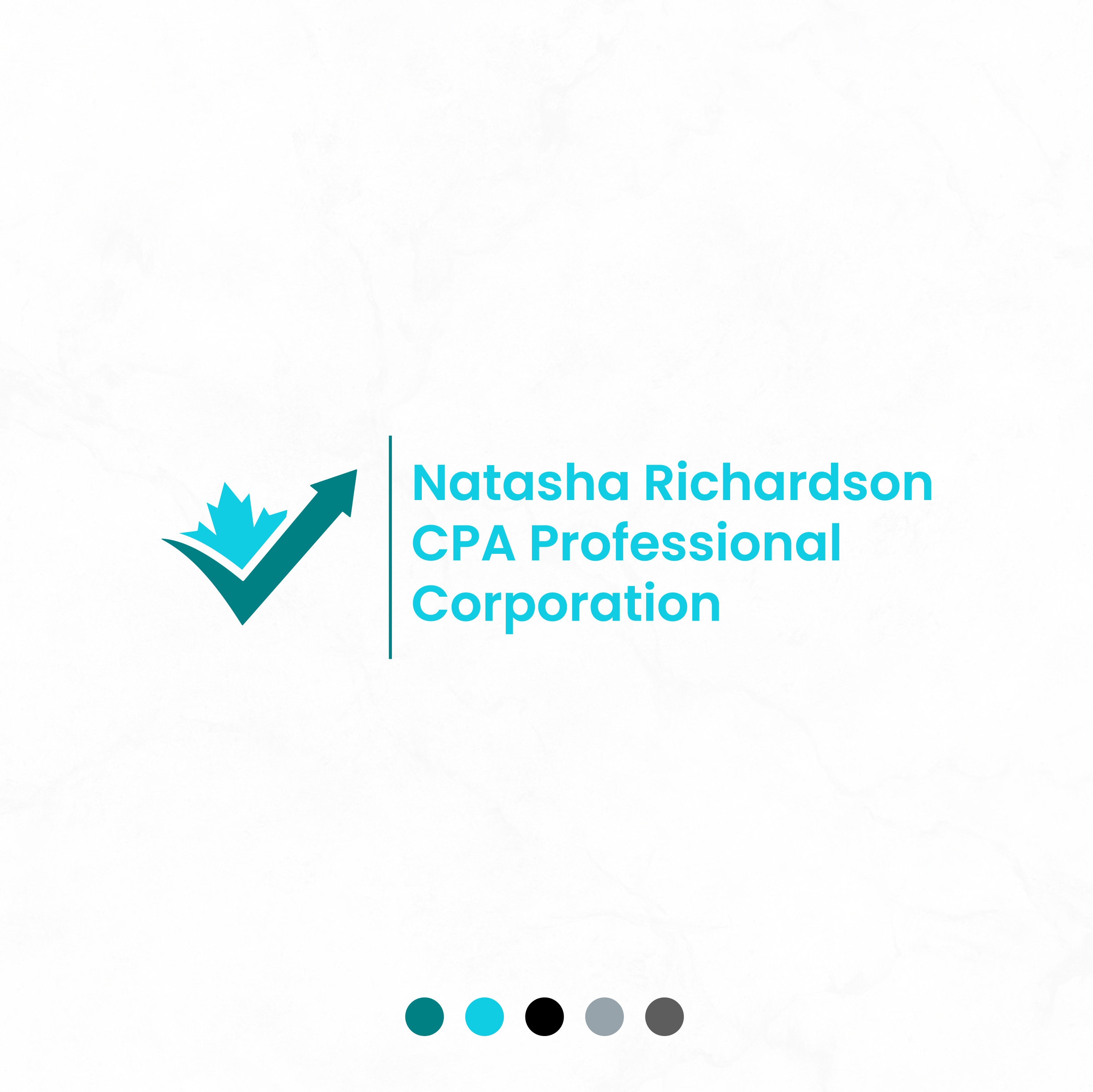Logo Design by MarkazAlrusumatOfficial for Natasha Richardson CPA Professional Corporation | Design #23406303