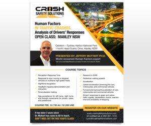 FLYER: Human Factors in Traffic Crashes - Analysis of Drivers' Responses - training | Flyer-Design von Luniere Designs