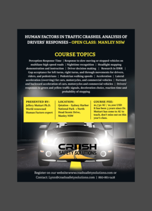 FLYER: Human Factors in Traffic Crashes - Analysis of Drivers' Responses - training | Flyer-Design von AnneWanjiku