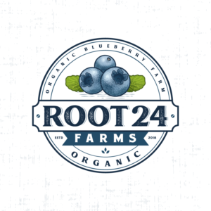 Logo Design by JervixJ