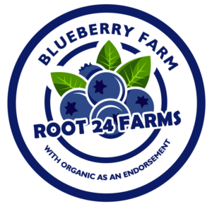 Logo Design by Design Boxs for this project | Design: #23403502