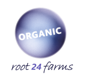 Logo Design by LOC-I-EYE Creative Solutions