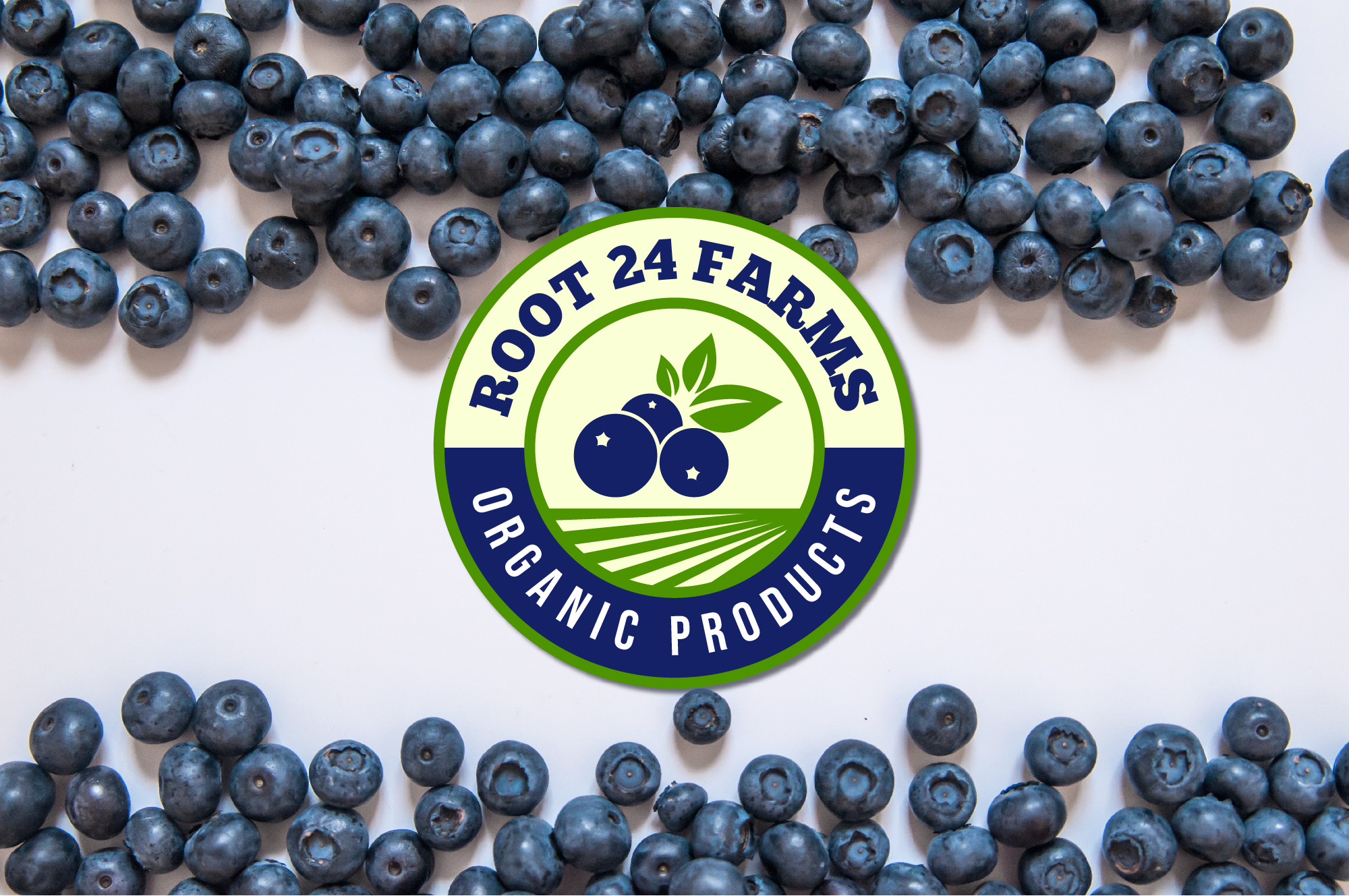 Logo Design by Costea Dan for this project | Design #23406140
