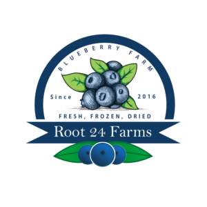Logo Design by Sohail 2