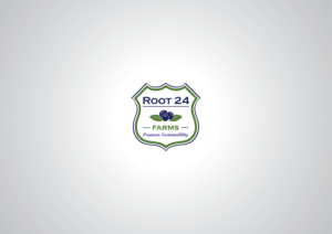 Logo Design by Nomad Designs