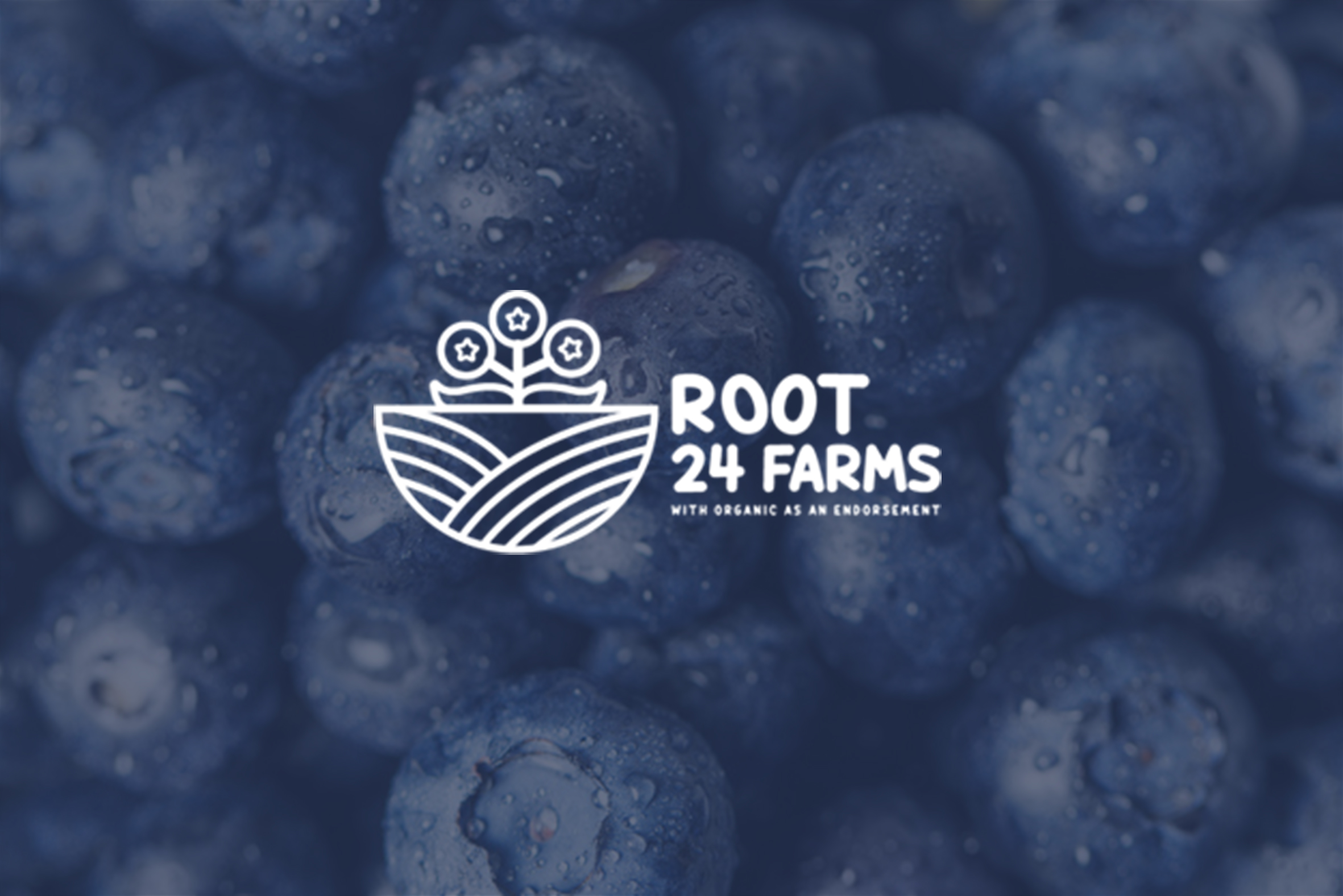 Logo Design by eno209  studio for this project | Design #23411230