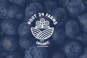 Logo Design by eno209  studio for this project | Design: #23415969