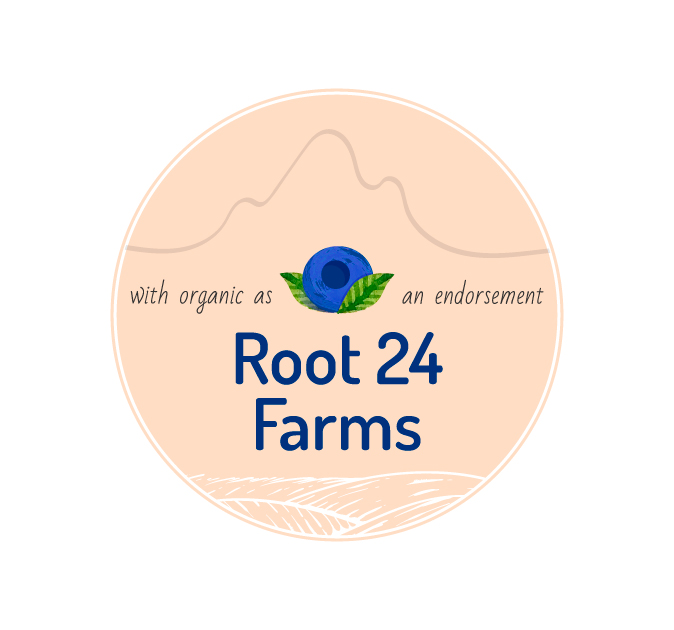 Logo Design by Web designer, Logo designer, UI/UX designer for this project | Design #23464712