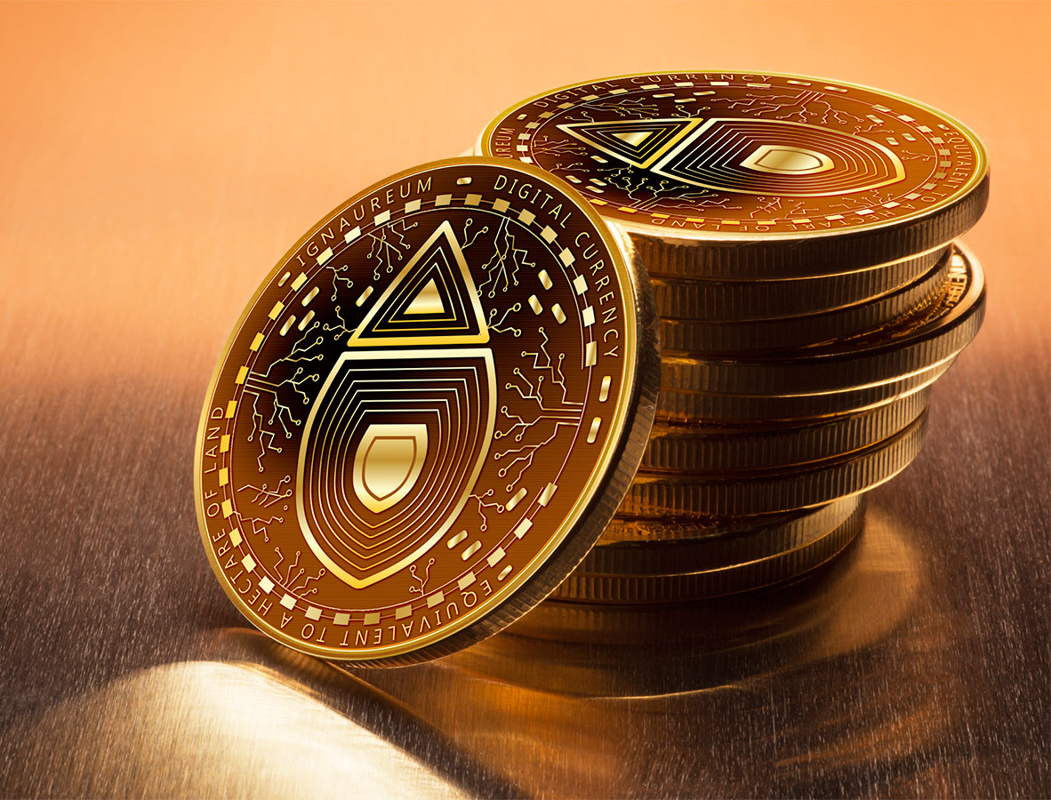 Graphic Design by yadunath for this project | Design #23407053