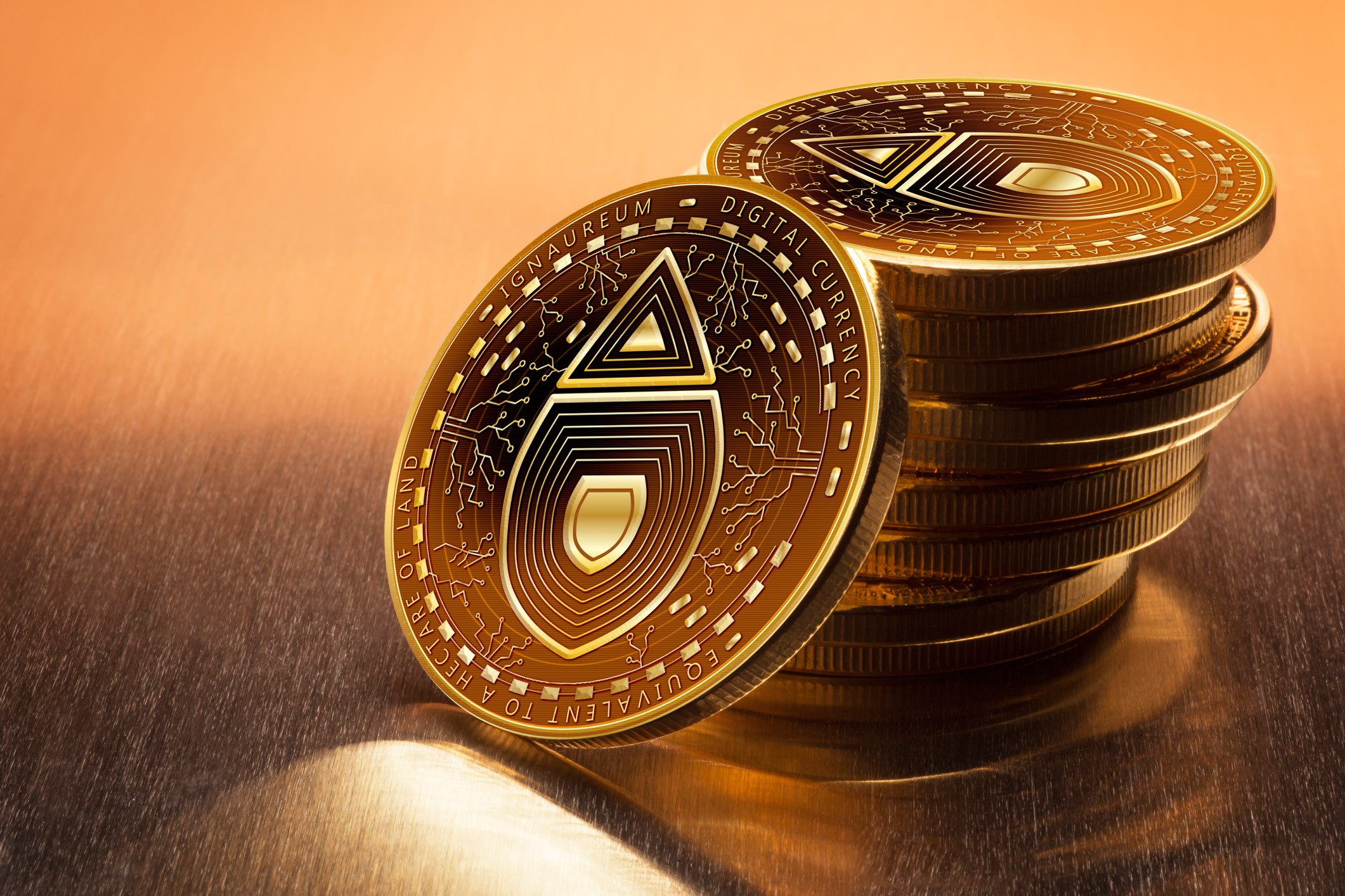 Design Graphique par yadunath pour ce projet | Design #23408144