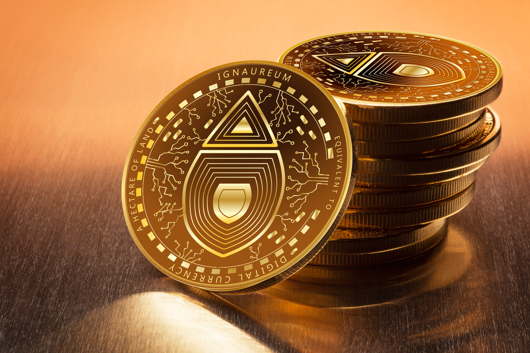 Graphic Design by yadunath for this project | Design #23413570