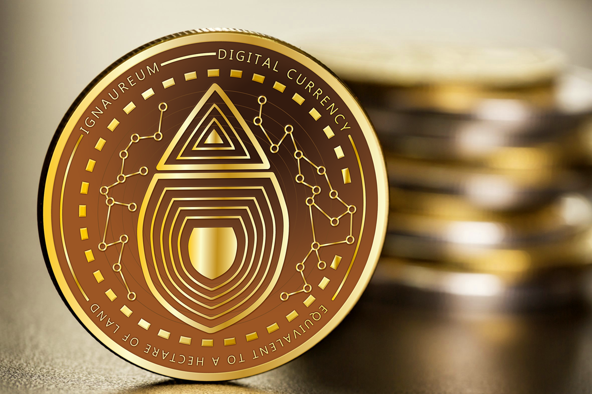 Graphic Design by yadunath for this project | Design #23434192