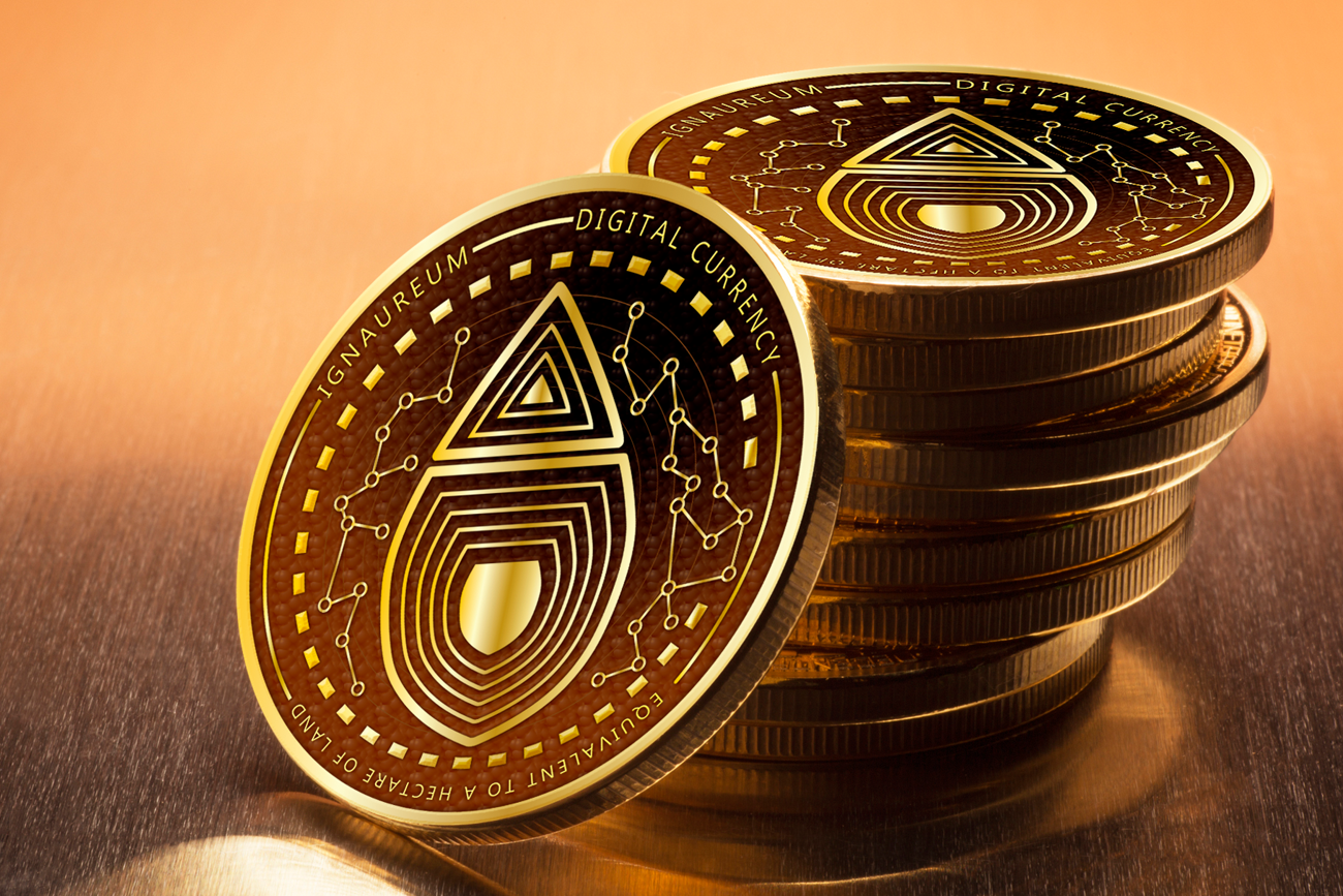 Graphic Design by yadunath for this project | Design #23434223