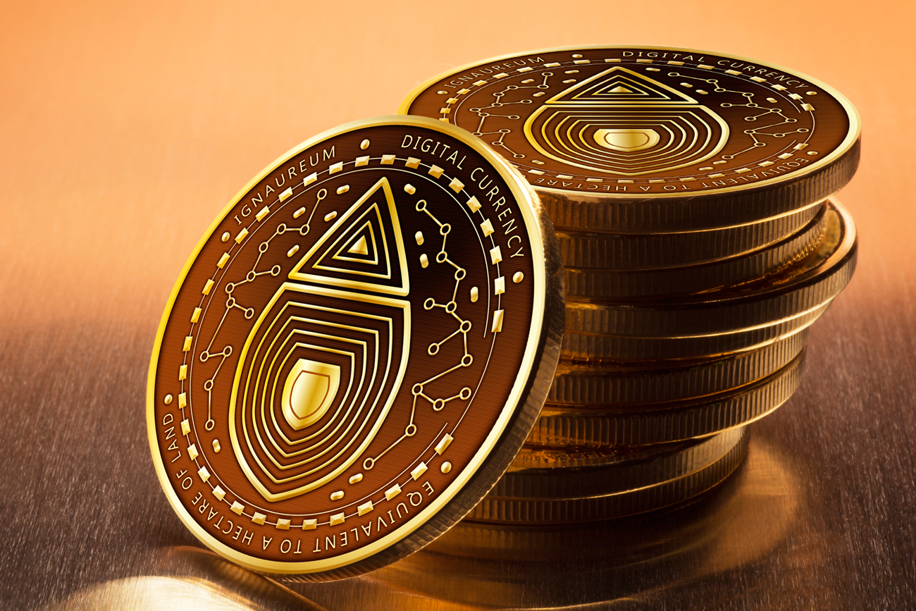 Graphic Design by yadunath for this project | Design #23438648