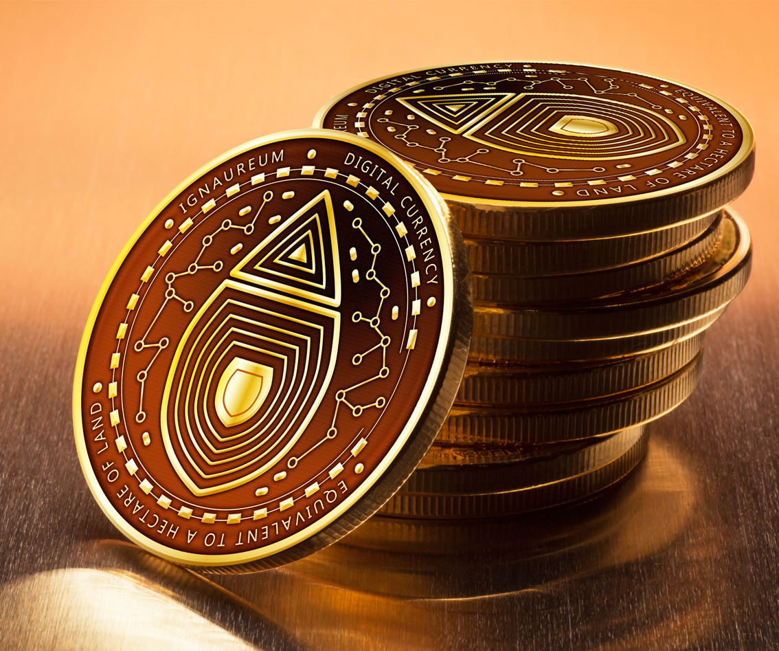 Graphic Design by yadunath for this project | Design #23440678