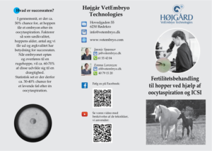 Design de Flyer par Sheingart pour Vet InVitro | Design : #23418686