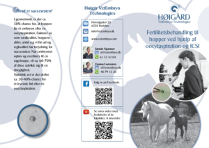 Flyer Design by Sheingart for Vet InVitro | Design #23442177