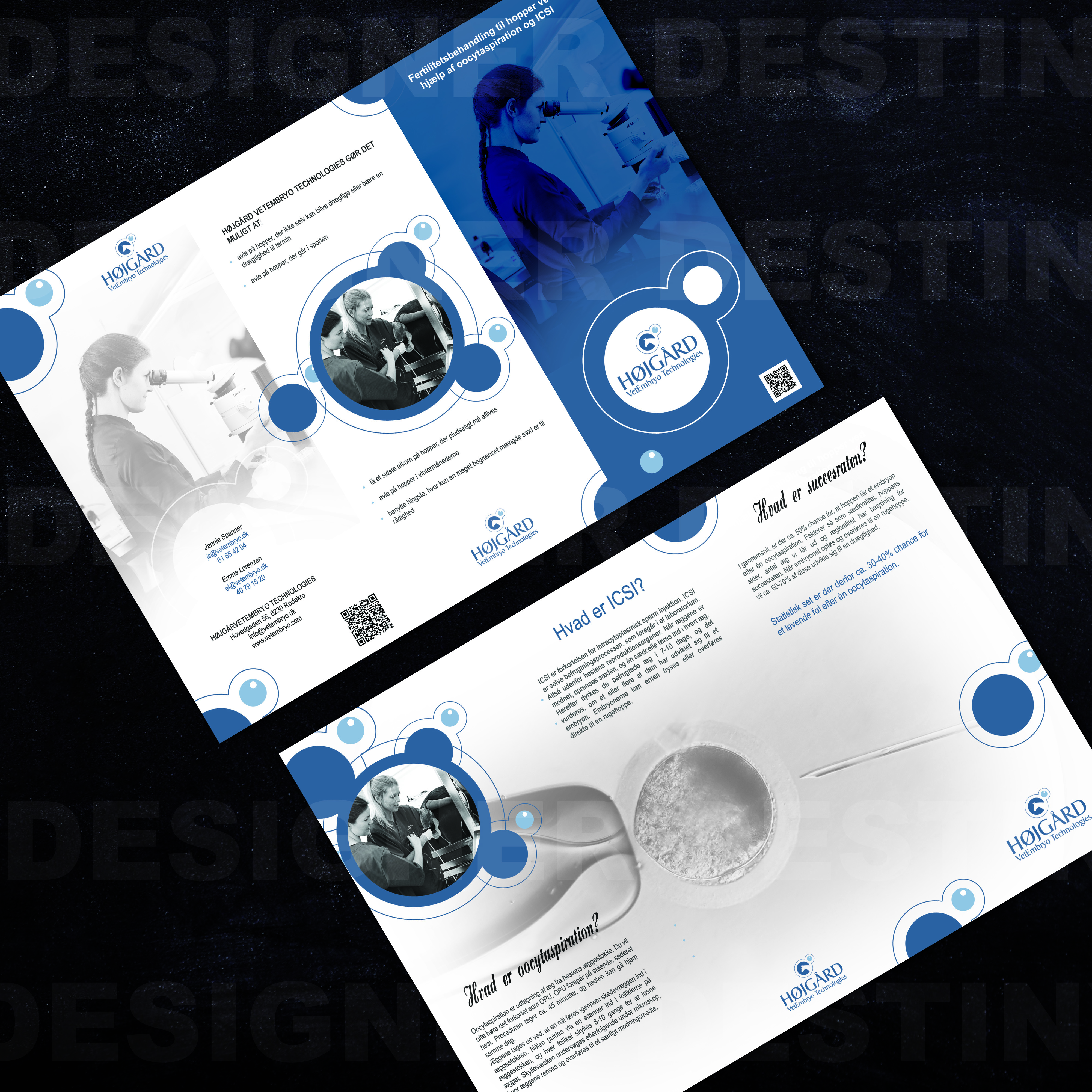 Flyer Design by Designer Destiny for Vet InVitro | Design #23420352