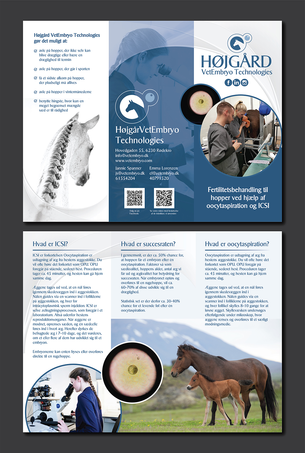 Flyer Design by Deziners Zone for Vet InVitro | Design #23407430