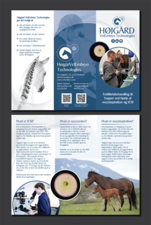 Flyer Design by Deziners Zone for Vet InVitro | Design: #23407430