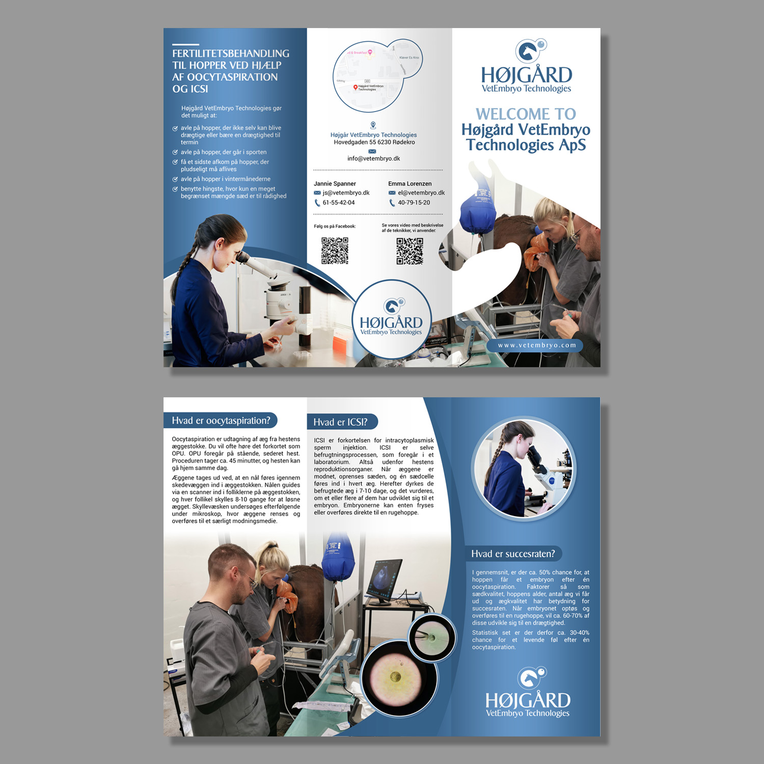 Diseño de Flyer por aspiremedia para Vet InVitro | Diseño #23409967