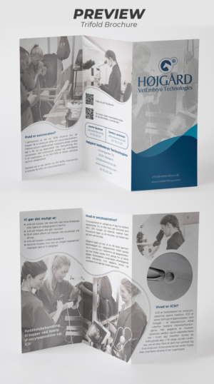 Flyer Design by ZISGraphics for Vet InVitro | Design #23424384
