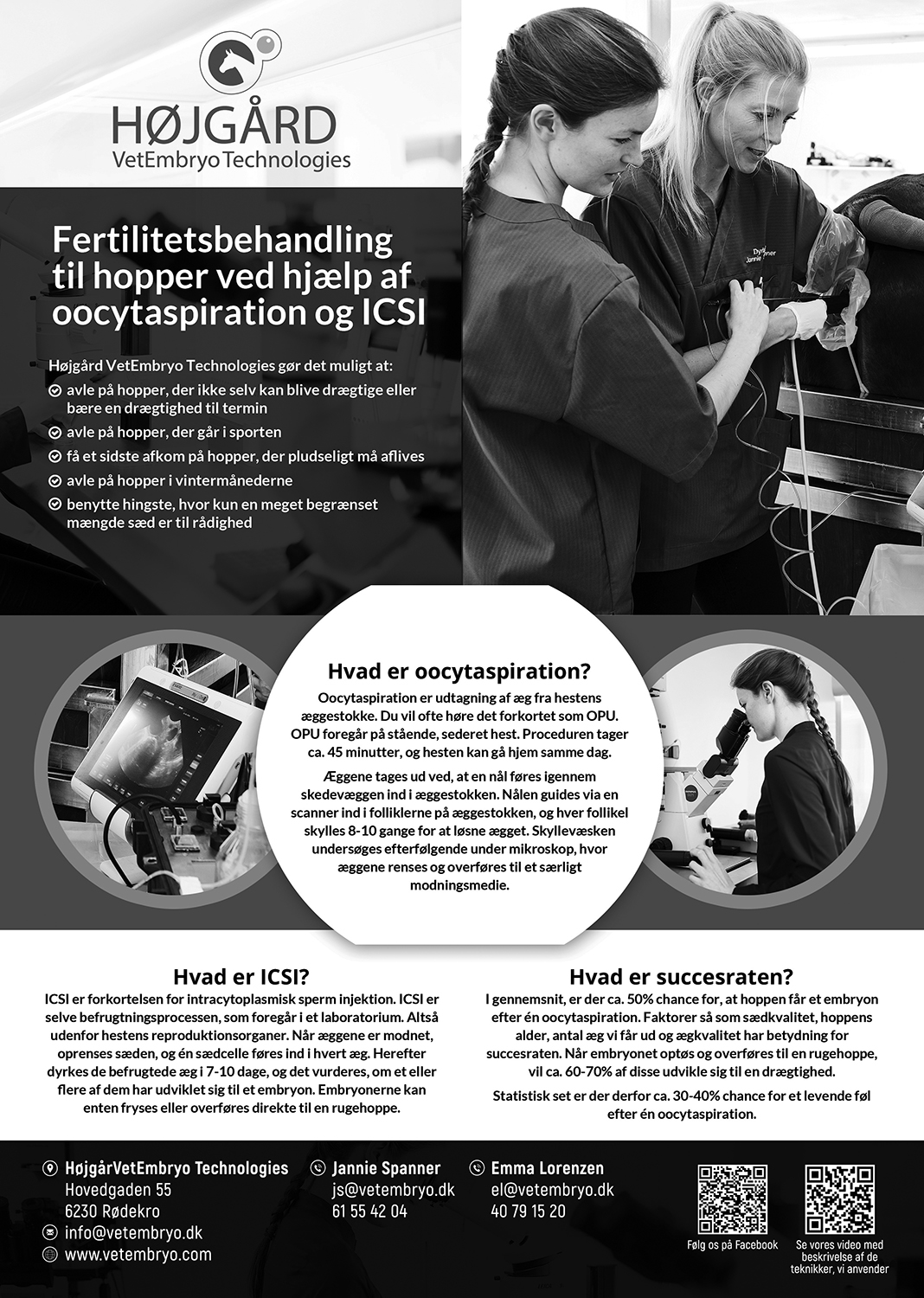 Flyer Design by VEGA-Designs for Vet InVitro | Design #23400610