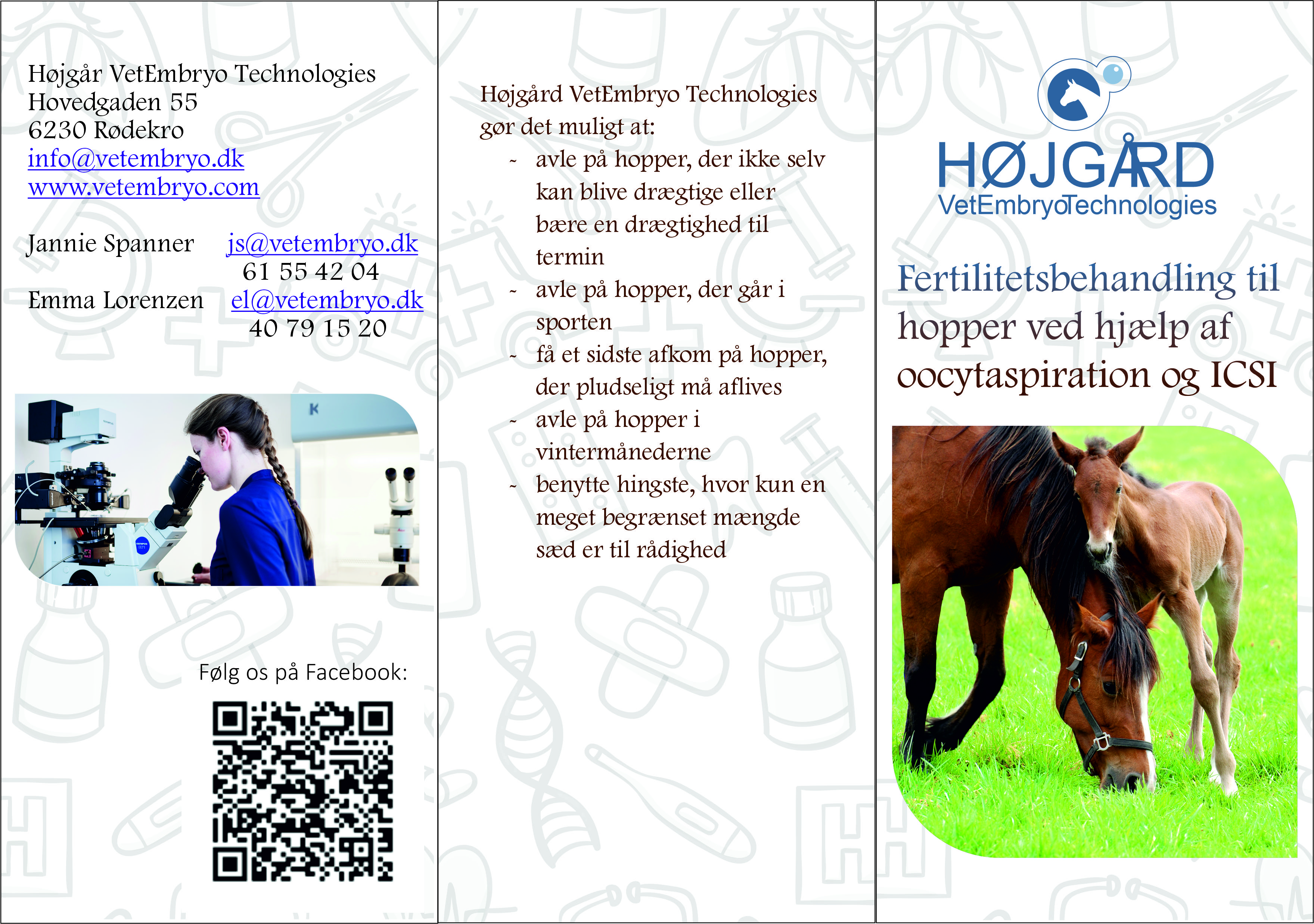 Flyer Design by Sevil Axmedova for Vet InVitro | Design #23407655