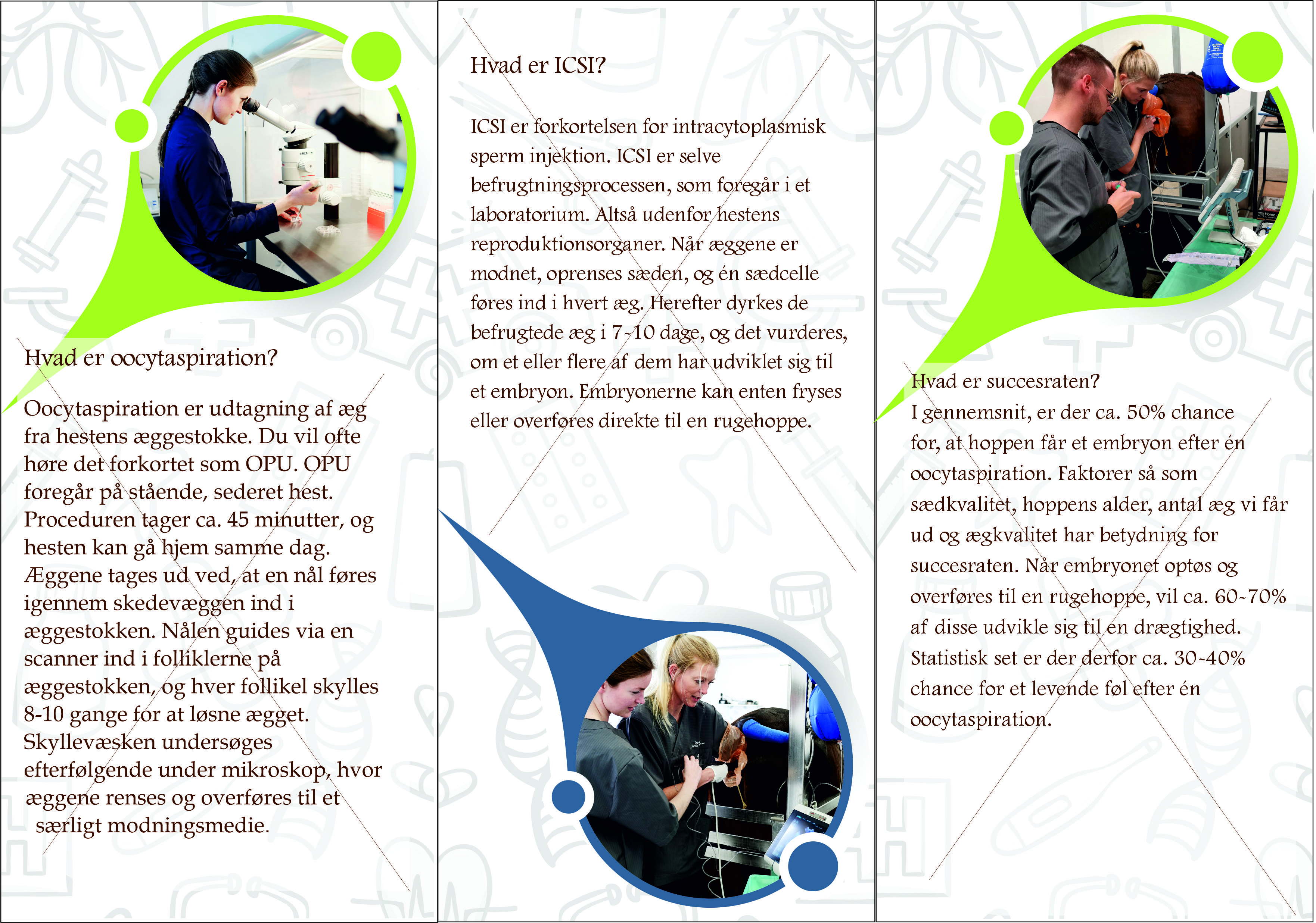 Flyer Design by Sevil Axmedova for Vet InVitro | Design #23407656